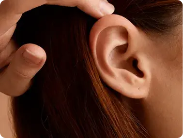 Ear