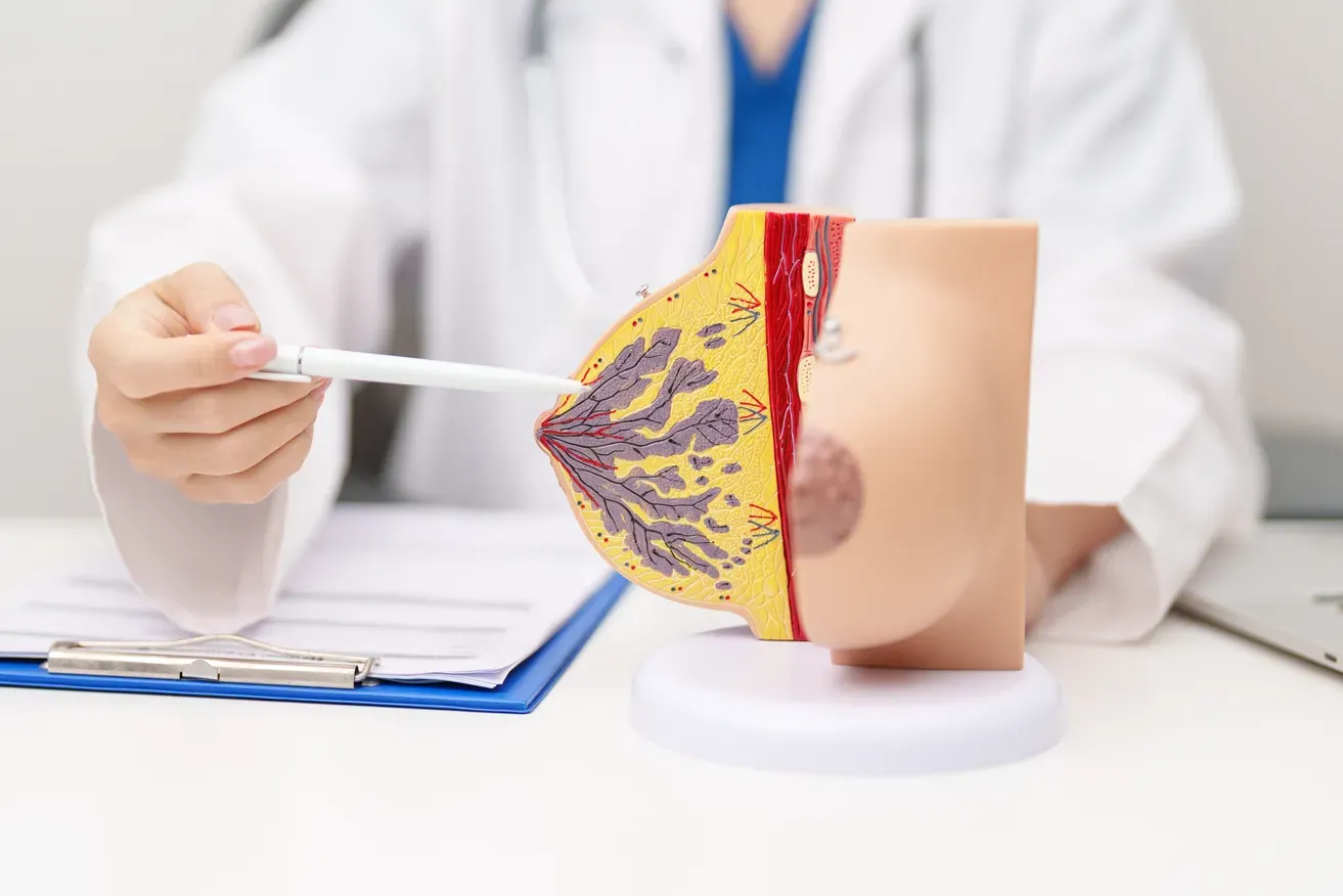 Plastic surgeon pointing at a breast anatomical model