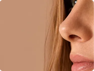 Nose