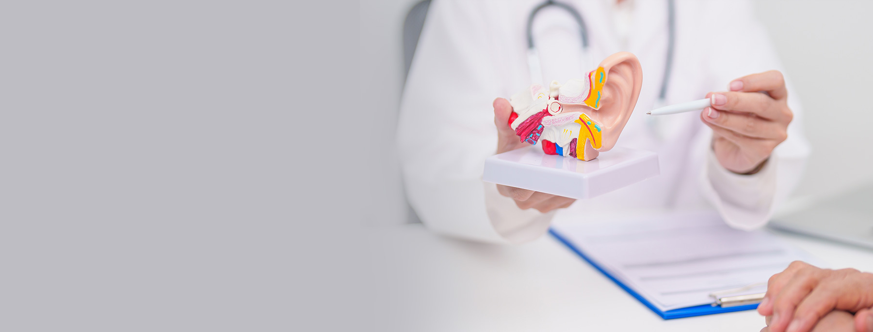 Plastic surgeon explaining to patient using ear anatomy model